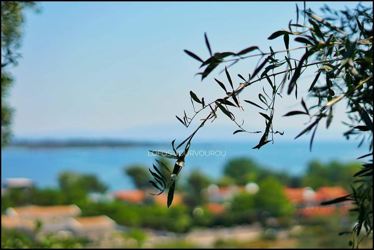 Apartmán Lofos Vourvourou Exteriér fotografie
